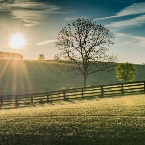 Community Involvement-jeff Niceley for Kenton County Commissioner